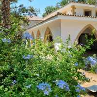 The Mediterranean Charm: Why Cyprus feels like home 🇨🇾❤️