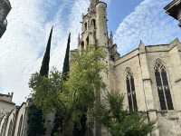 Southern France - Avignon