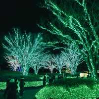 Tokyo to Nagoya: Christmas Lights & Winter Magic Day Trip