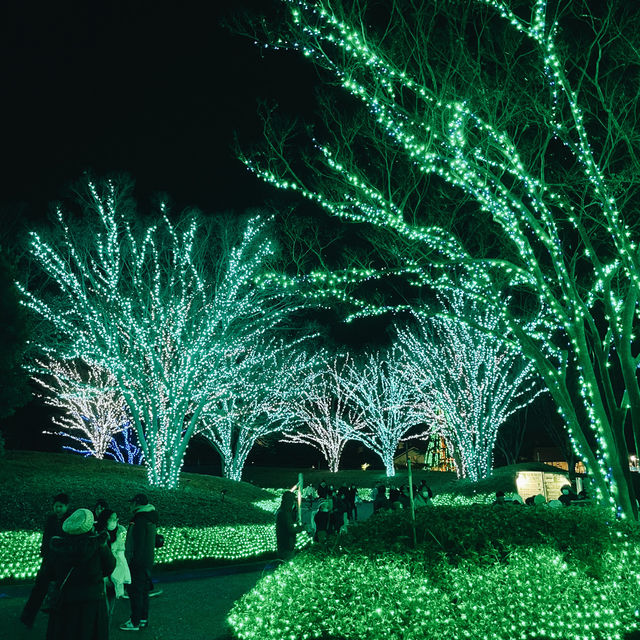 Tokyo to Nagoya: Christmas Lights & Winter Magic Day Trip