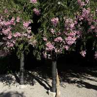 Venice 3 Days Itinerary