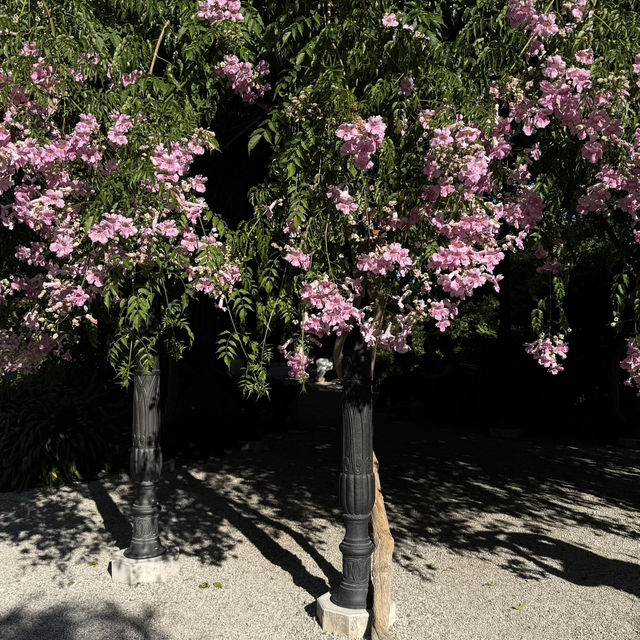 Venice 3 Days Itinerary