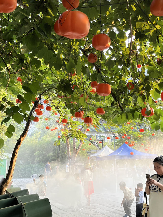 Hidden Shenzhen🌿🧋🍲🧧