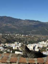 Blue Pearl of Morocco - Chefchaouen