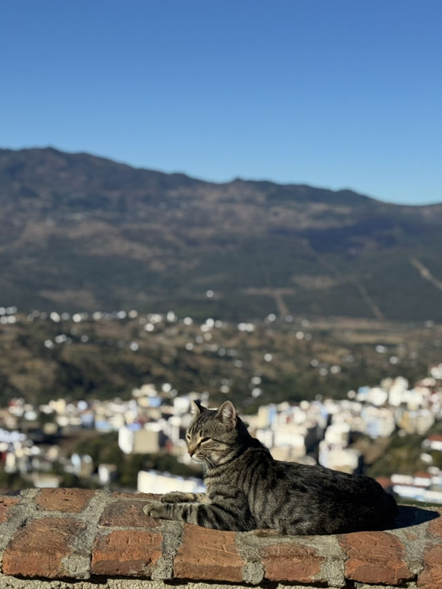 Blue Pearl of Morocco - Chefchaouen