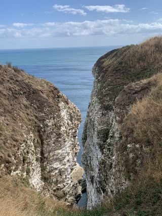 約克郡東海岸自然保護區