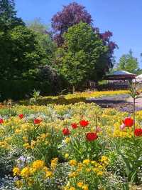 Nature Walk Charm🍃