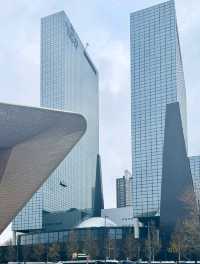 Tree Meets Culture🌳,