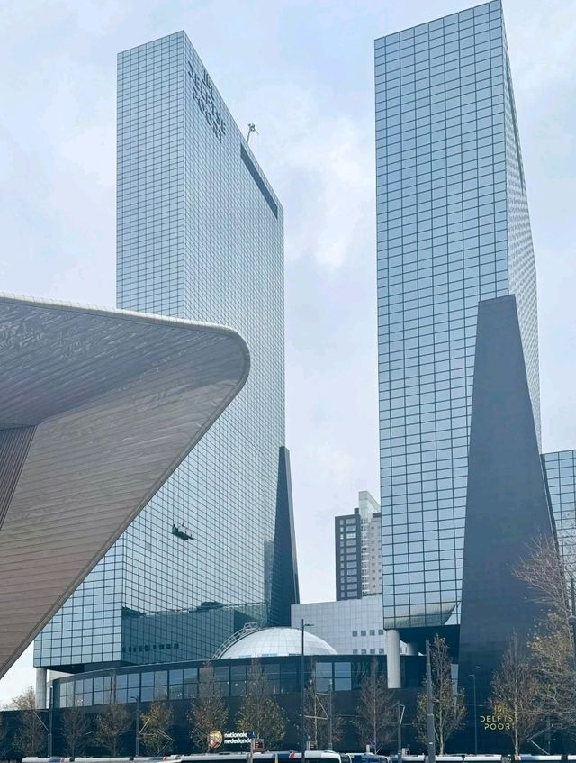 Tree Meets Culture🌳,