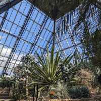 Muttart Conservatory