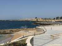 Discover the Magic of Montaza Palace! Alexandria-Egypt