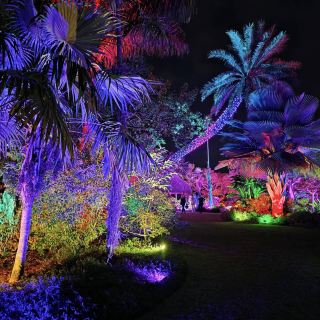 Naples Botanical Garden