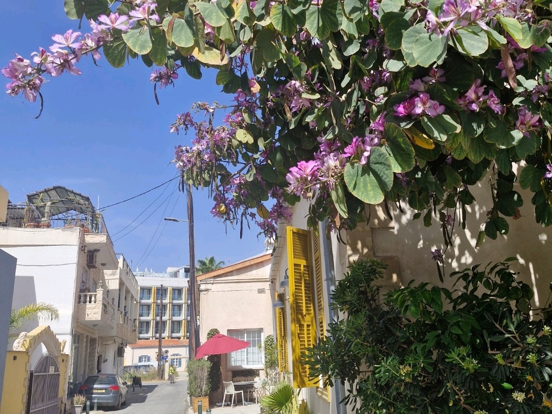 Chỗ nghỉ tại Larnaca gần Nhà thờ Thánh Lazarus!