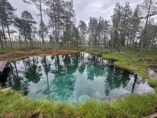 隱藏在沼澤中的熱帶湖泊