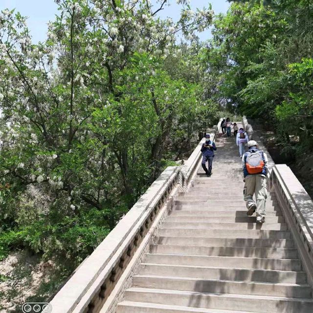 [蘭州]橋見山水連鄉情-黄河母親之河