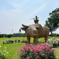 Shanghai’s Gardens 