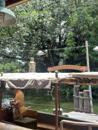 Adventureland at HK Disneyland🌿🌱🪵🌳