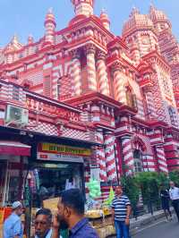 Pluck 🌿 the pink mosque 🕌 in Colombo.