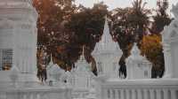 Wat Suan Dok: A cemetery temple with a garden theme.