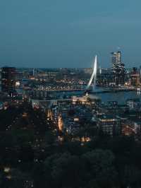 Swan | Erasmus Bridge