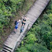Hiking paradise｜Complete the Ngong Ping Trail in 4 hours!