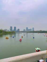 Lured by Xuanwu Lake