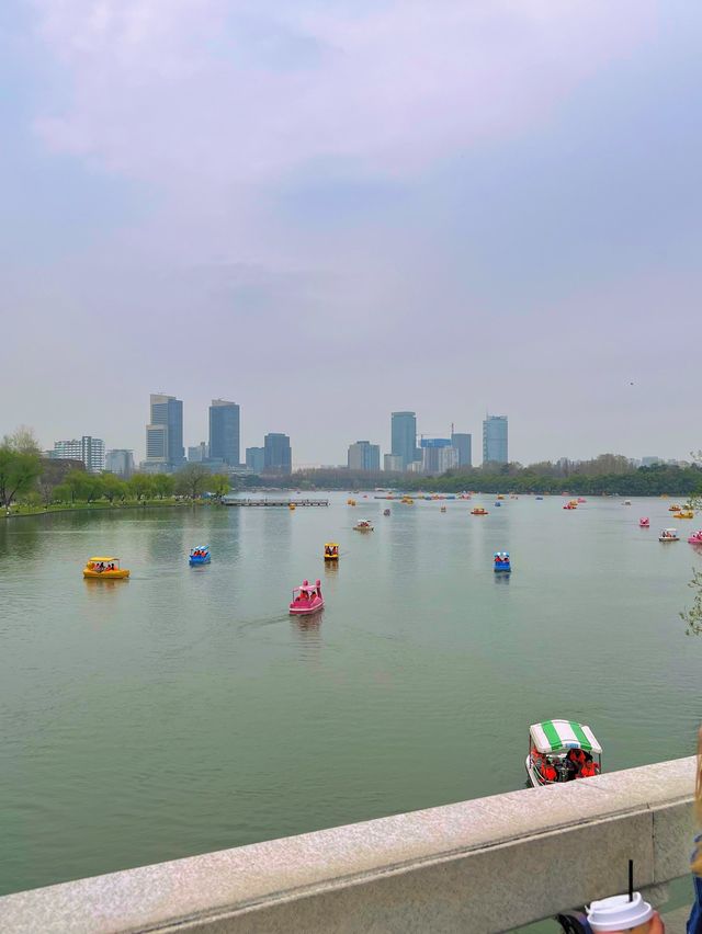 Lured by Xuanwu Lake