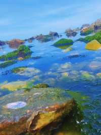 Yangma Island: May Escape 🏝️🚗🌊