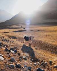 Into the Unknown: Exploring Abandoned Beauty in Kyrgyzstan