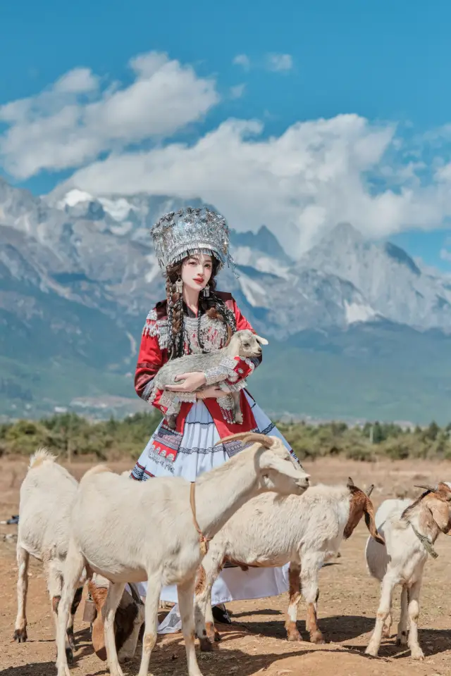 咩～終於在雪山下抱到了我的小羊羔們