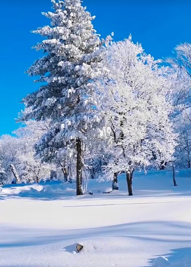 吉林通化四方頂子｜仿若置身於童話般的冰雪世界