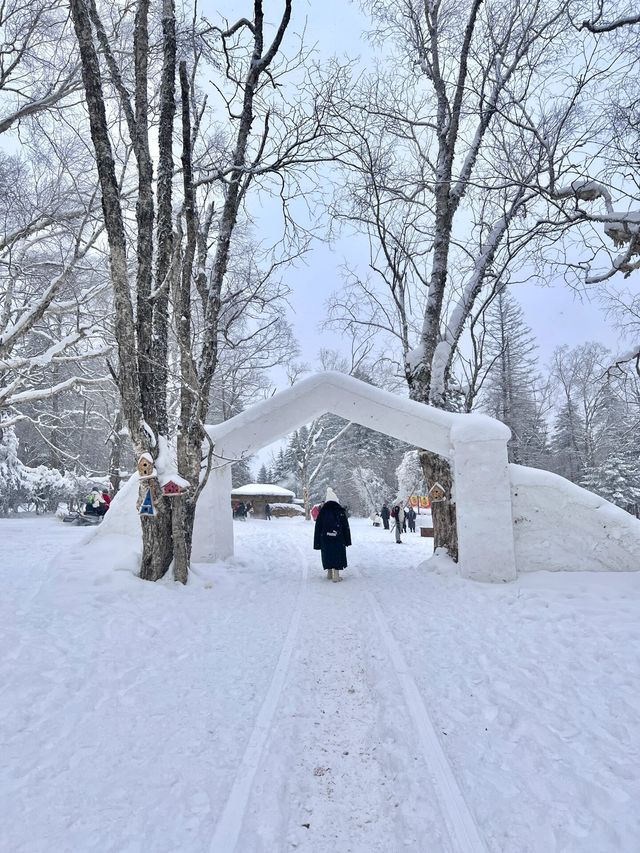 長白山雪嶺闖入童話世界看麋鹿live圖