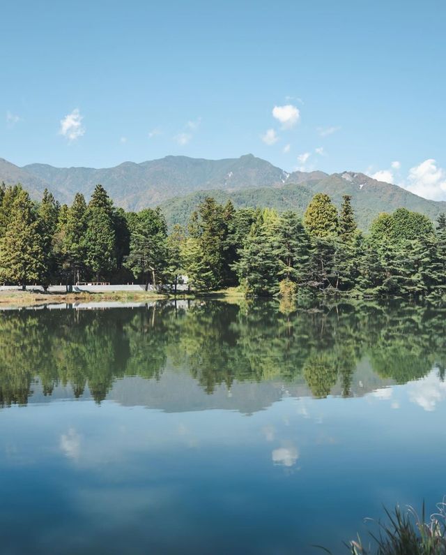 我的長野之旅：騎行果園，採摘蘋果，享受美味午餐！