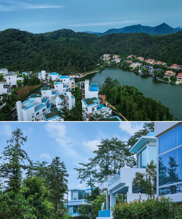 冬天的莫干山也能get馬爾代夫同款“起床跳海