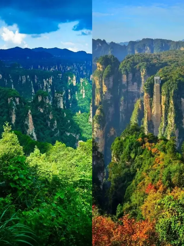 The mysteriously fairyland-like Zhangjiajie Tianzi Mountain, let's explore it together