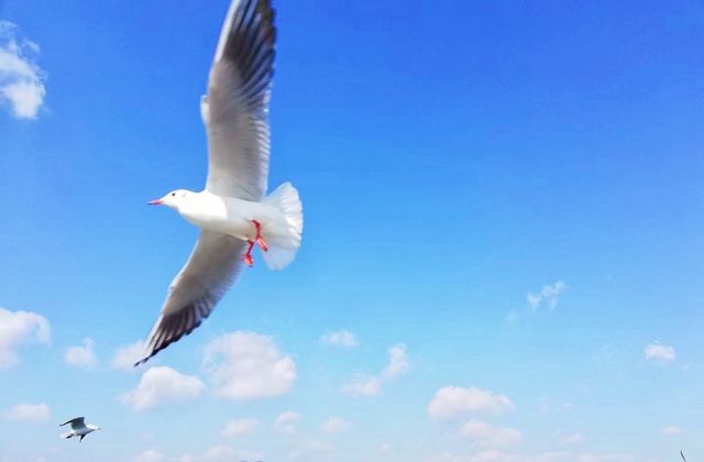 吃住玩 | 在這裡，開啟一場美好絕妙的旅行