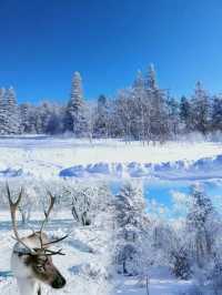 冬日的雪嶺，堪稱國內旅行地天花板~