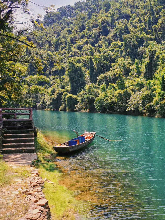 肇慶蝴蝶谷｜來鼎湖旅行，不能錯過蝴蝶谷