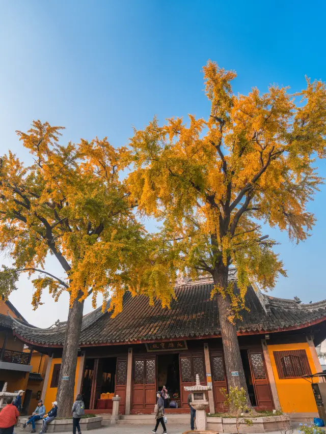 私は南京の秋が美しいと思っていましたが、それは私が苏州に行くまででした