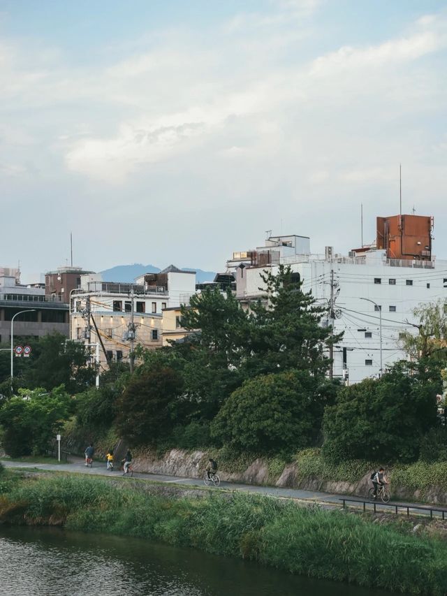 京都之夏 | 百年街巷與美妙探店