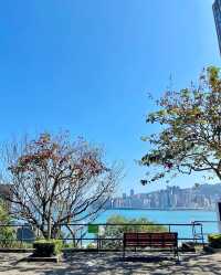 姊妹們香港！這才是看海該去的地方