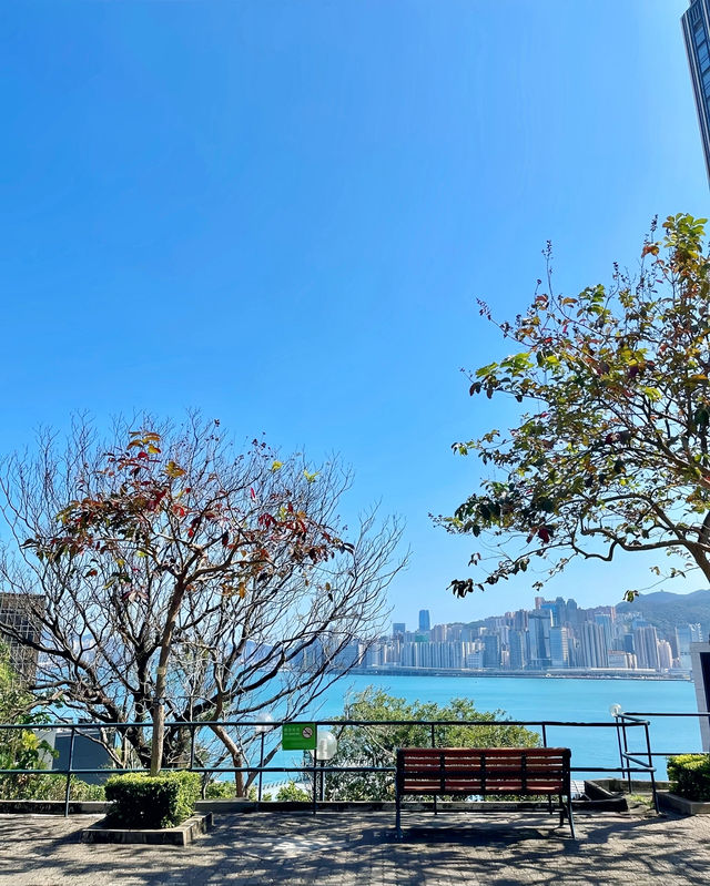 姊妹們香港！這才是看海該去的地方