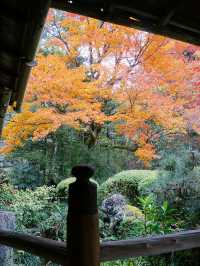 京都景點｜詩仙堂丈山寺