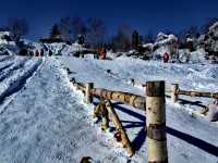 原來姊也能過雪山的