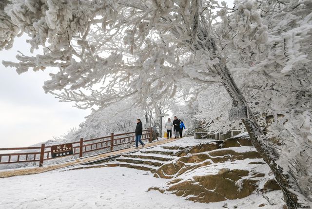 不要錯過！海上雲臺山：霧凇沆砀，玉樹瓊枝