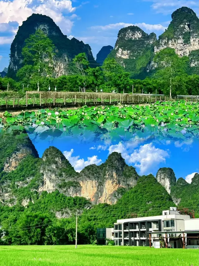 เรียกว่า 'เล็ก ๆ น้อย ๆ ของ Guilin' สวน Ming Shi สวยงามเหมือนภาพวาดภูเขาและน้ำ