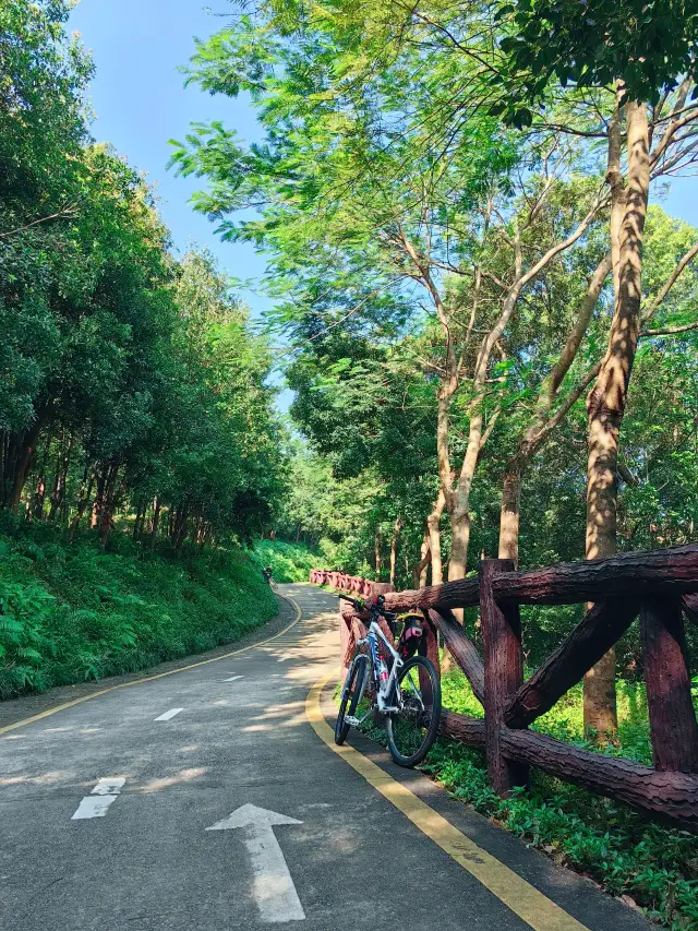 深圳銀湖山郊野公園