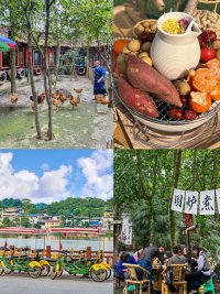 深圳農家樂團建好去處｜秋日DIY美食