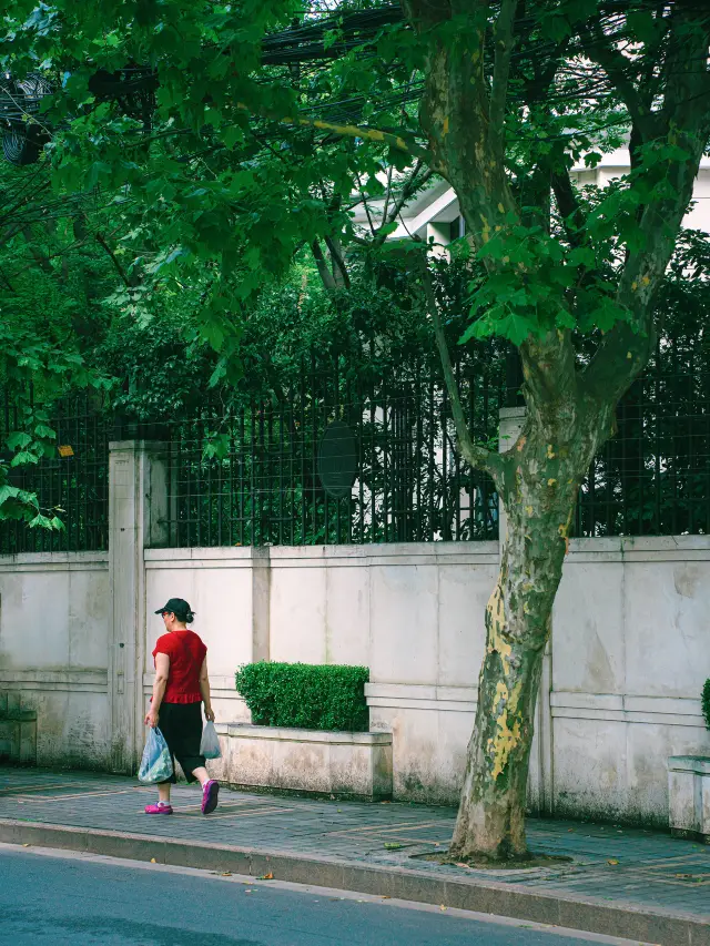 Shanghai's most endearing road—Happiness Road