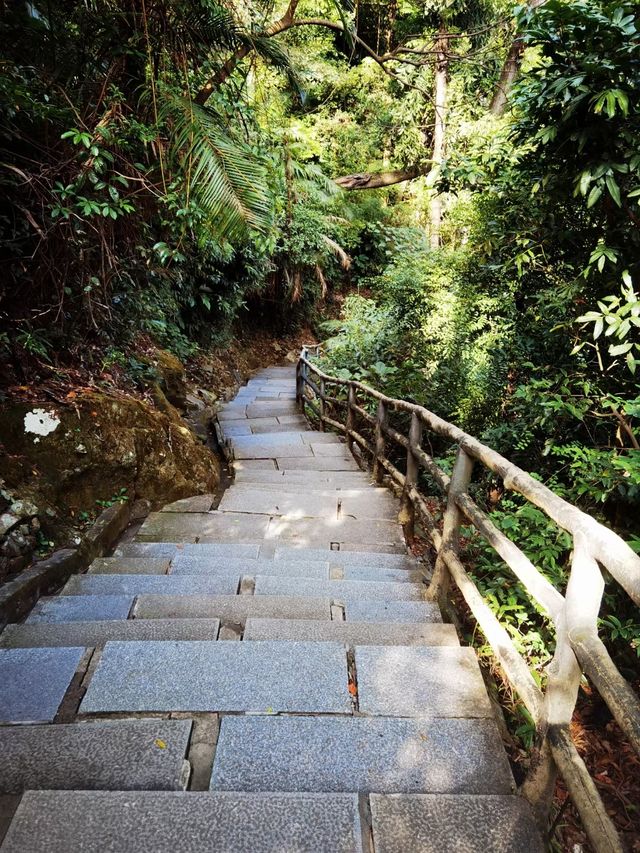 岭南四大名山之首的鼎湖山